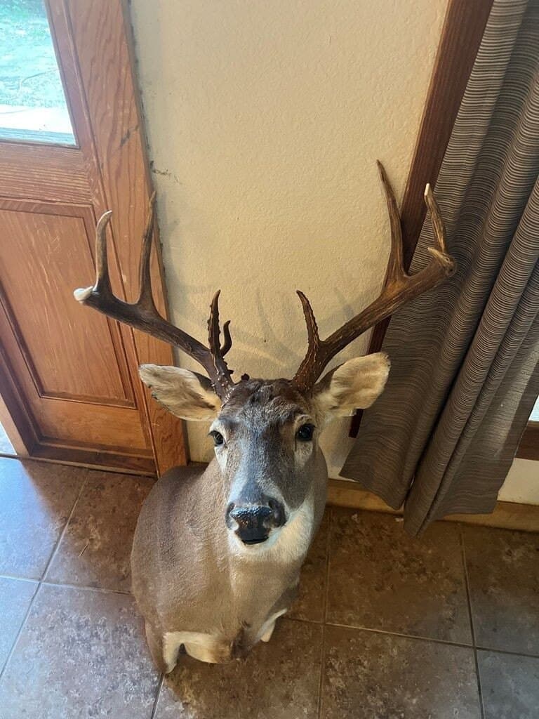 16.58 acres in Texas County - photo 12