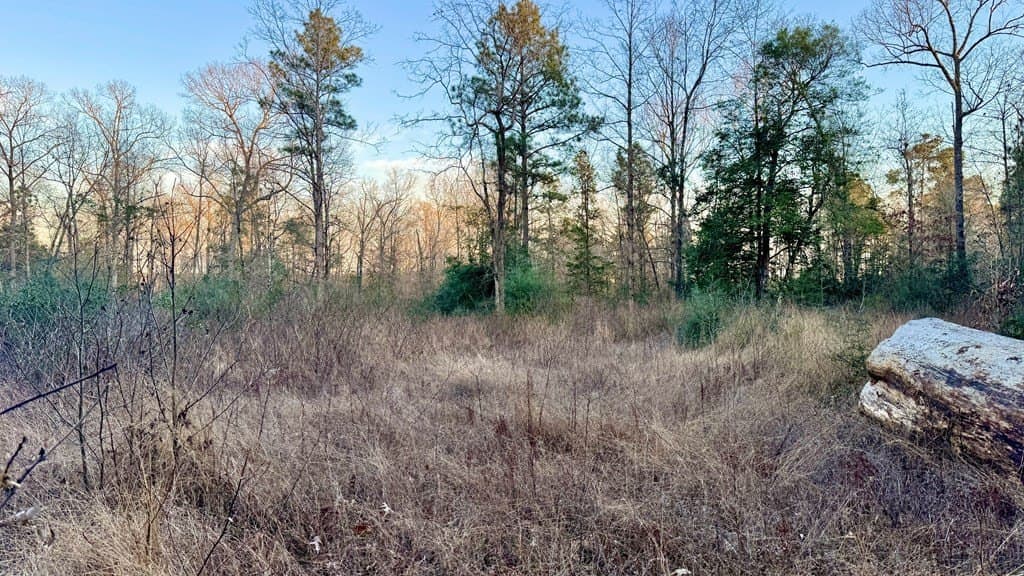 16.58 acres in Texas County - photo 9
