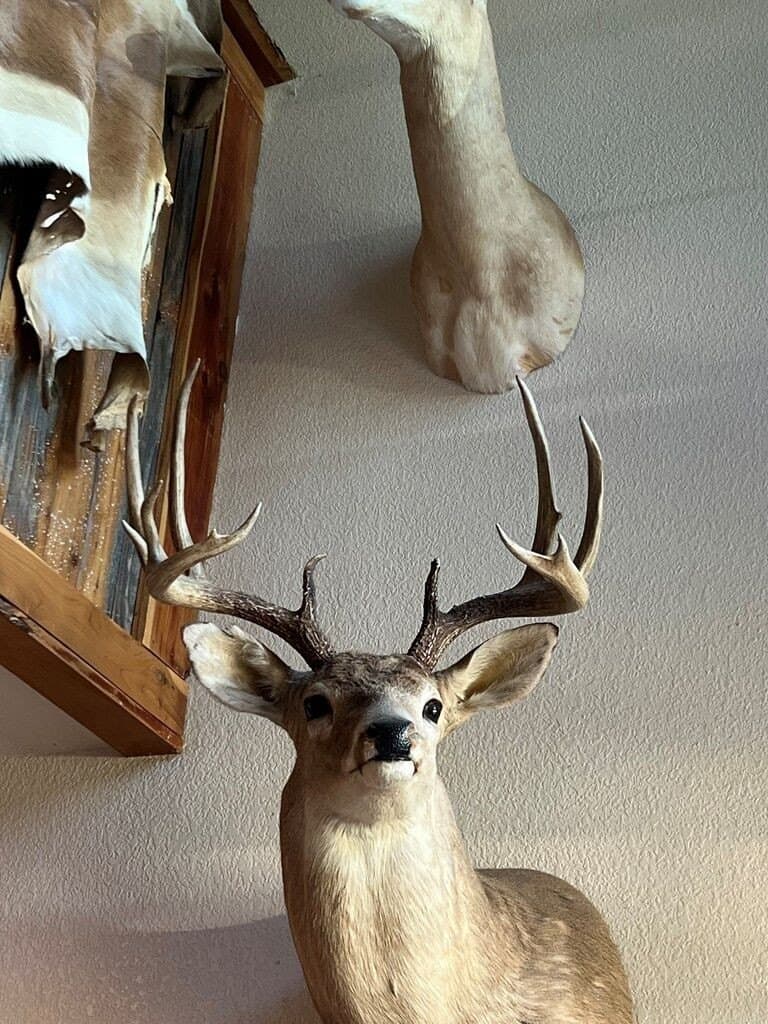 16.58 acres in Texas County - photo 11