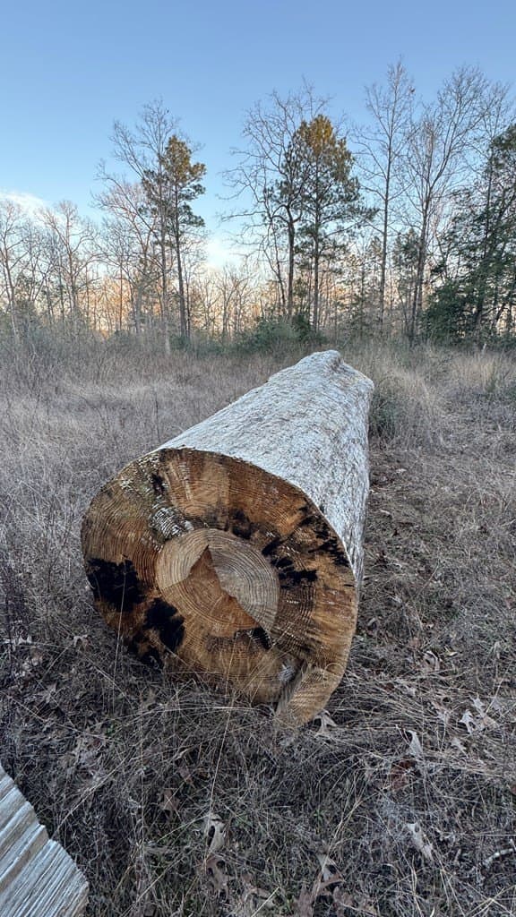 16.58 acres in Texas County - photo 8