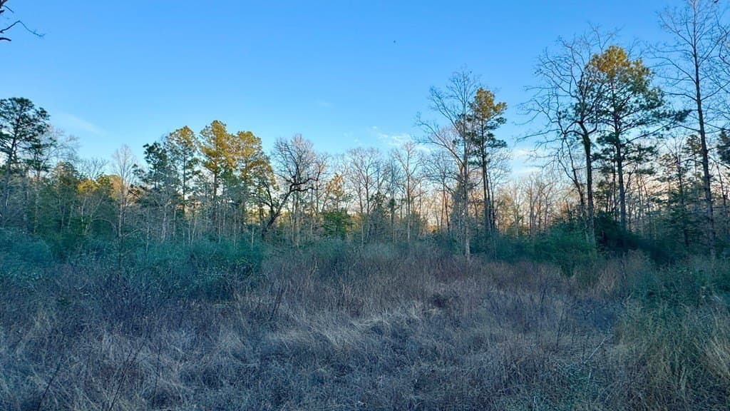 16.58 acres in Texas County - photo 10