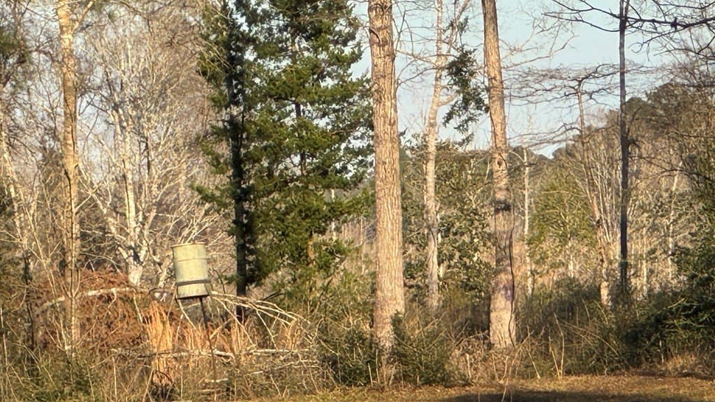 16.58 acres in Texas County - photo 3