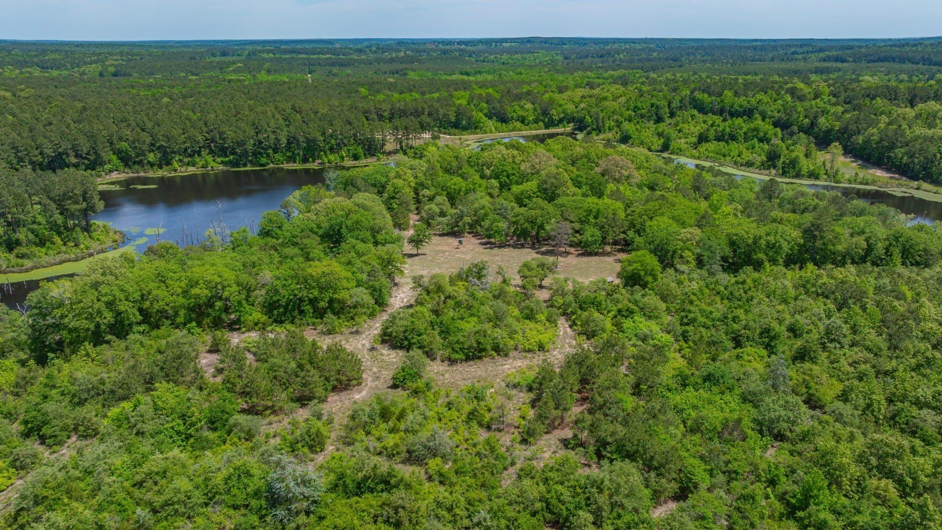 521 acres in Cass County gallery image 2