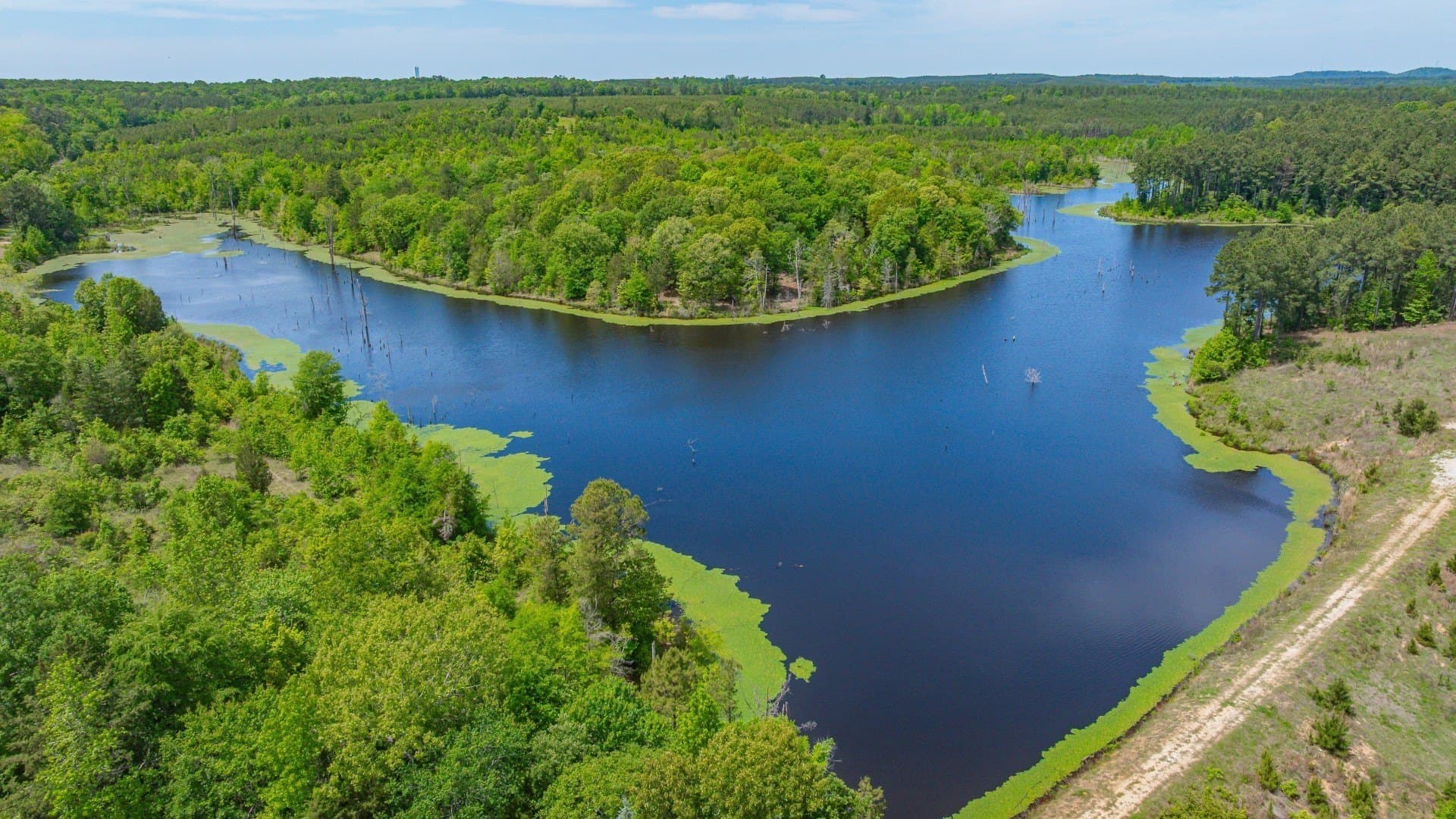 521 acres in Cass County - photo 18