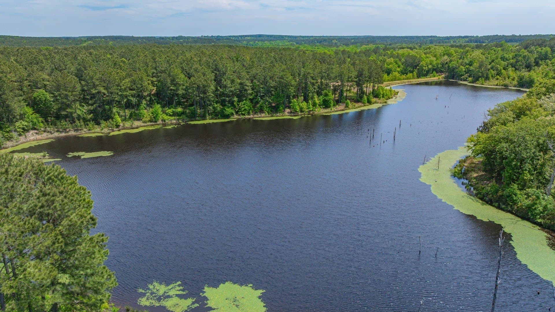 521 acres in Cass County - photo 17