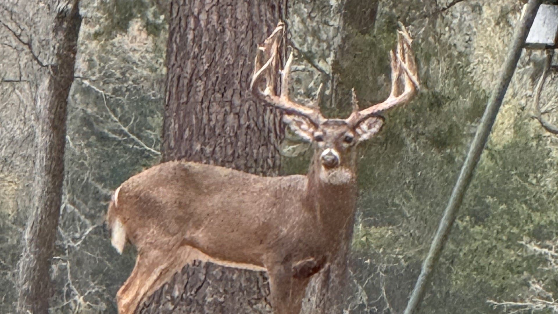 521 acres in Cass County - photo 40