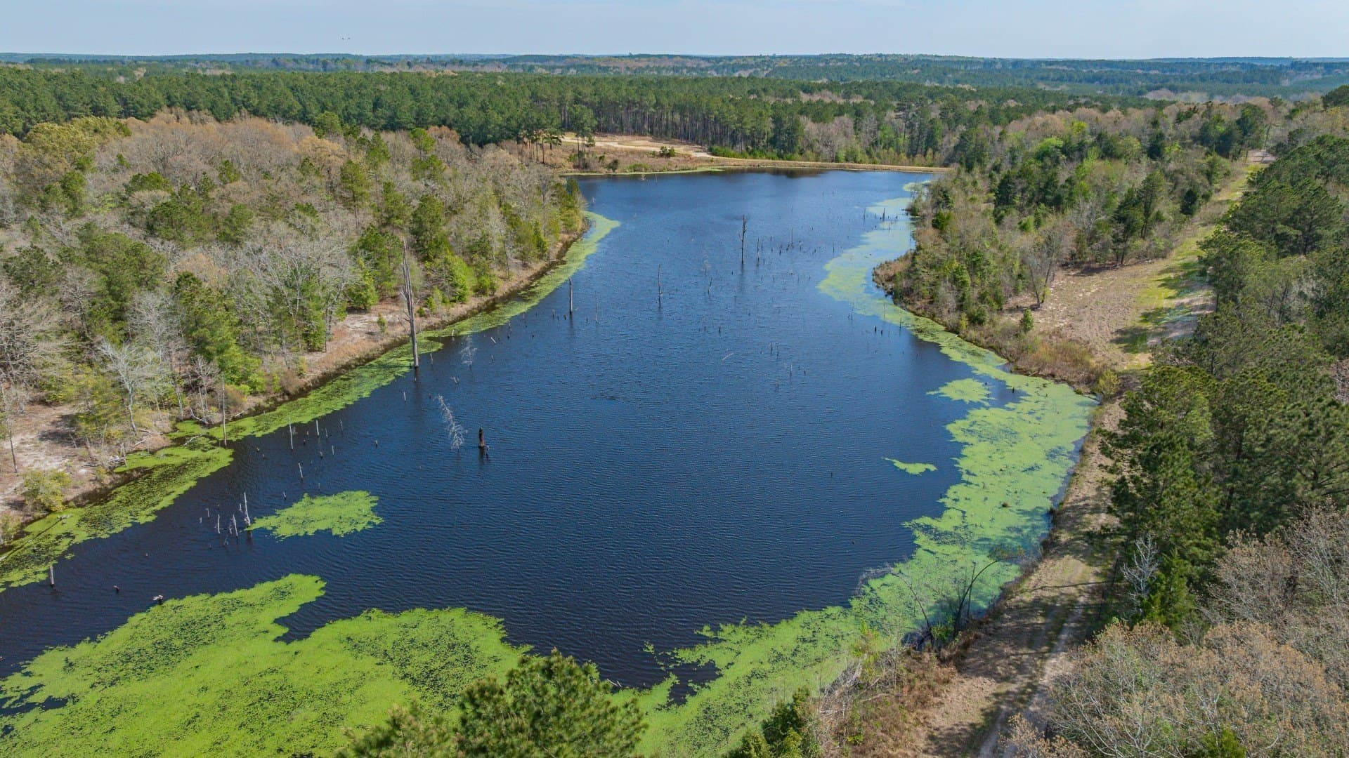 521 acres in Cass County gallery image 3