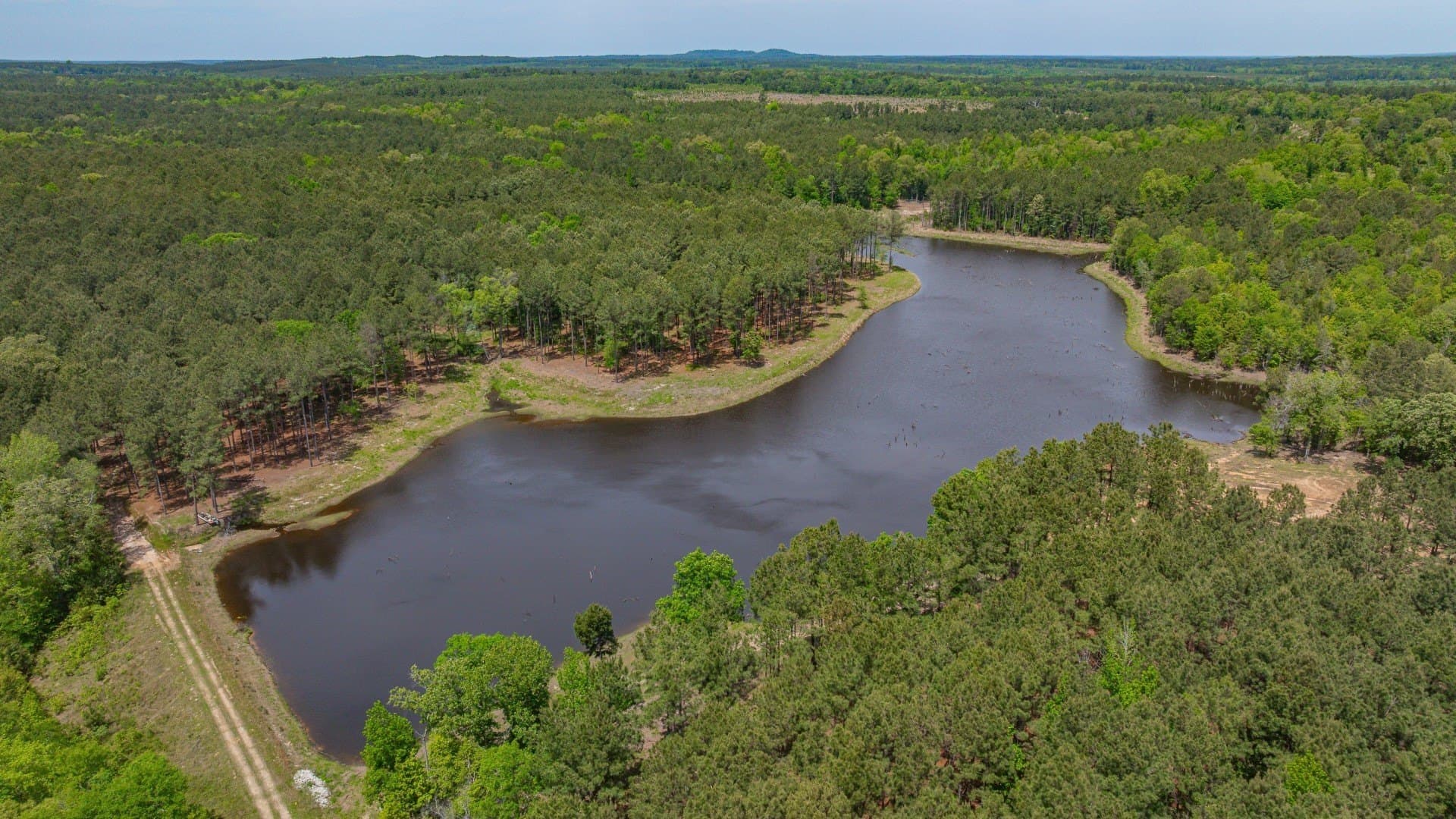 521 acres in Cass County - photo 15