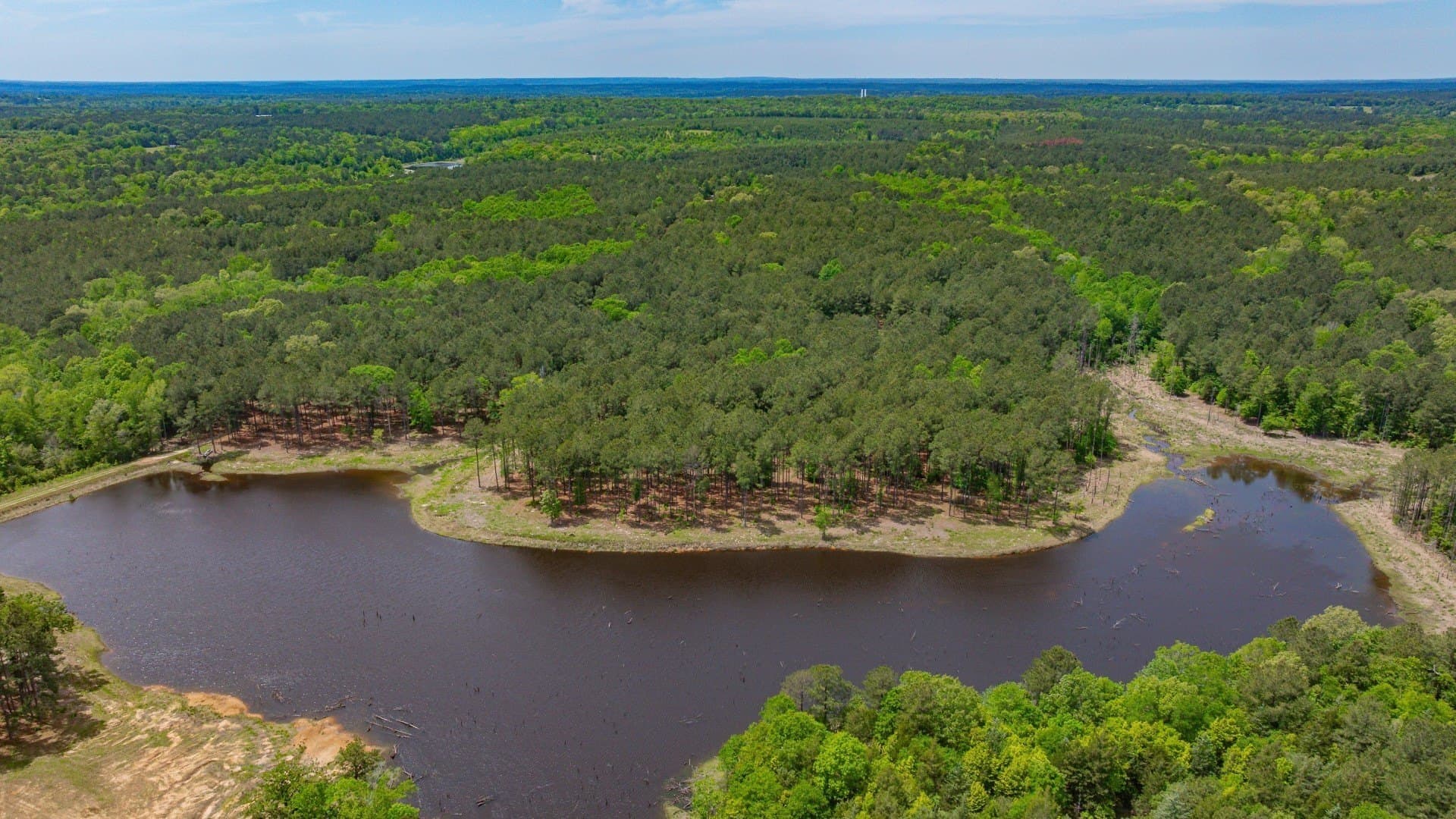 521 acres in Cass County - photo 16