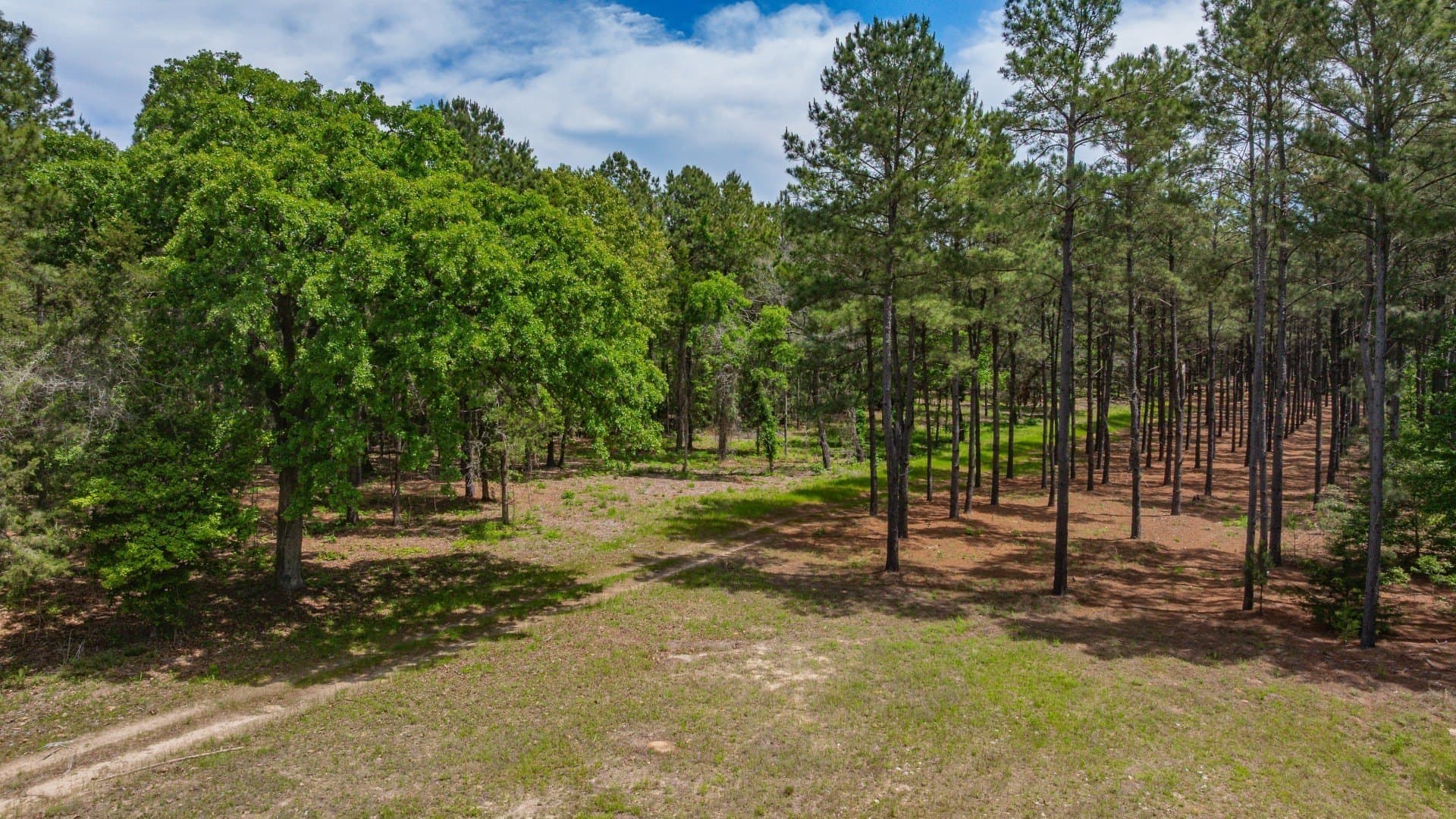 521 acres in Cass County - photo 23