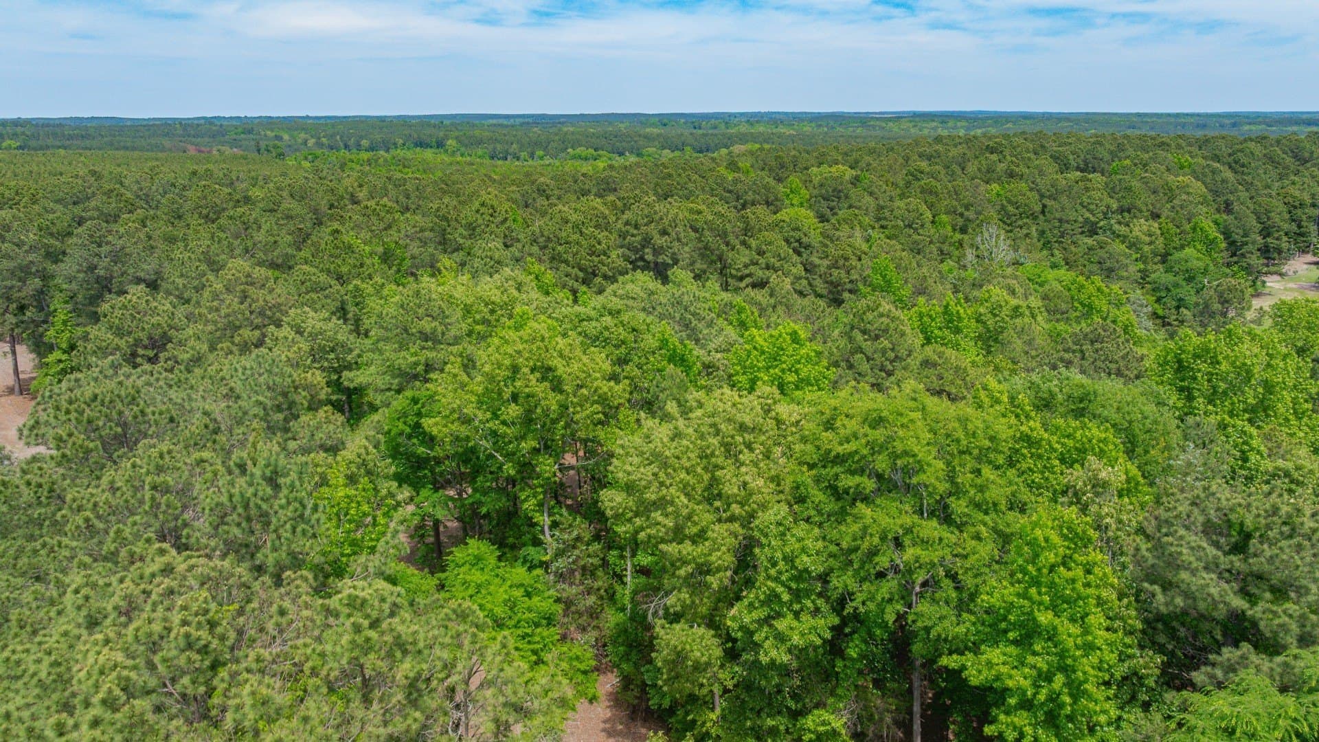 521 acres in Cass County - photo 37