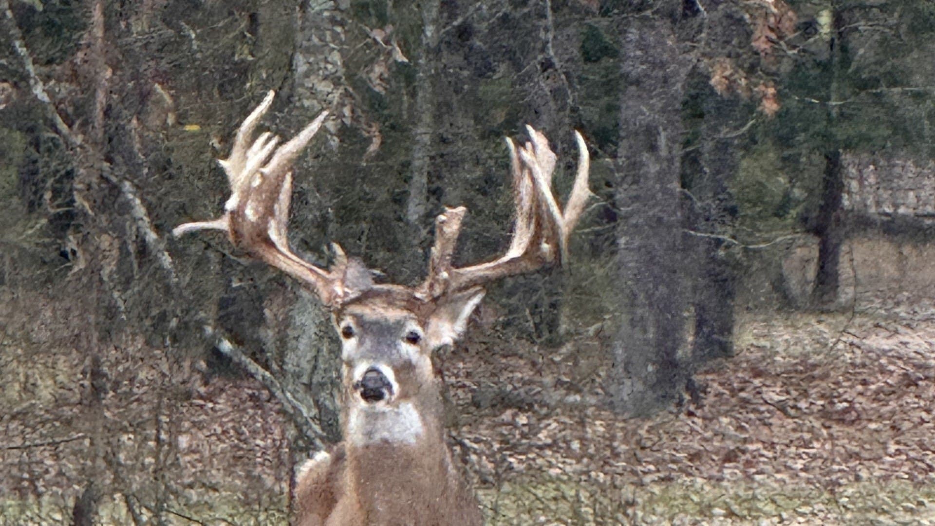 521 acres in Cass County - photo 39