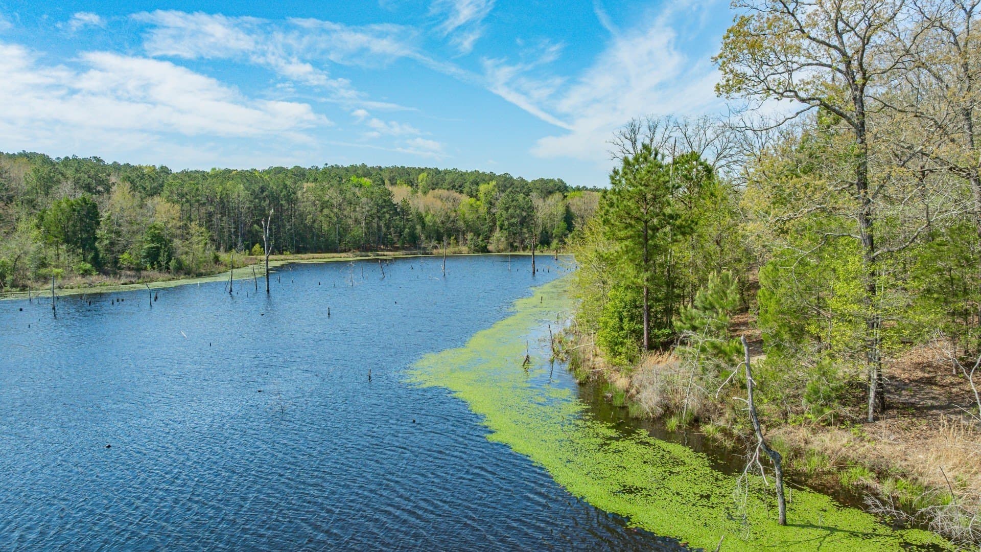 521 acres in Cass County gallery image 4