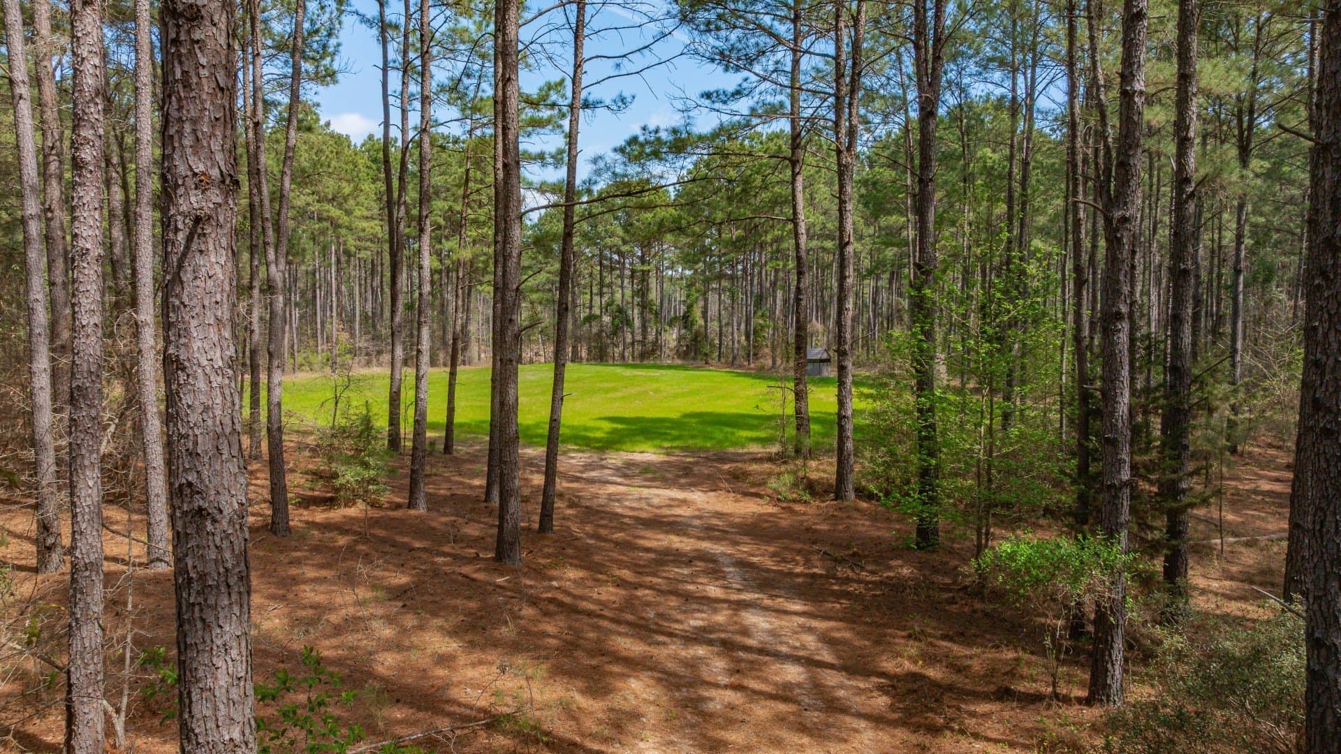 521 acres in Cass County - photo 19