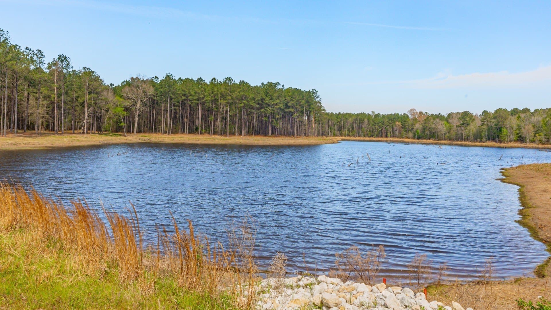 521 acres in Cass County featured view
