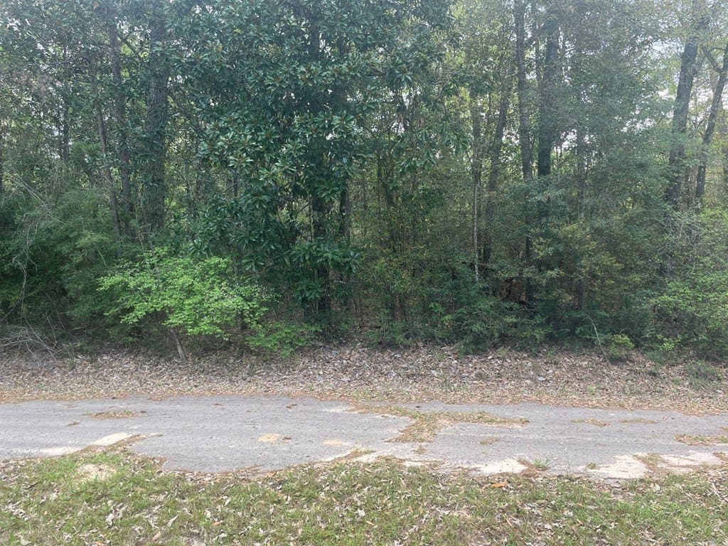 0.29 acres in Texas County - photo 6