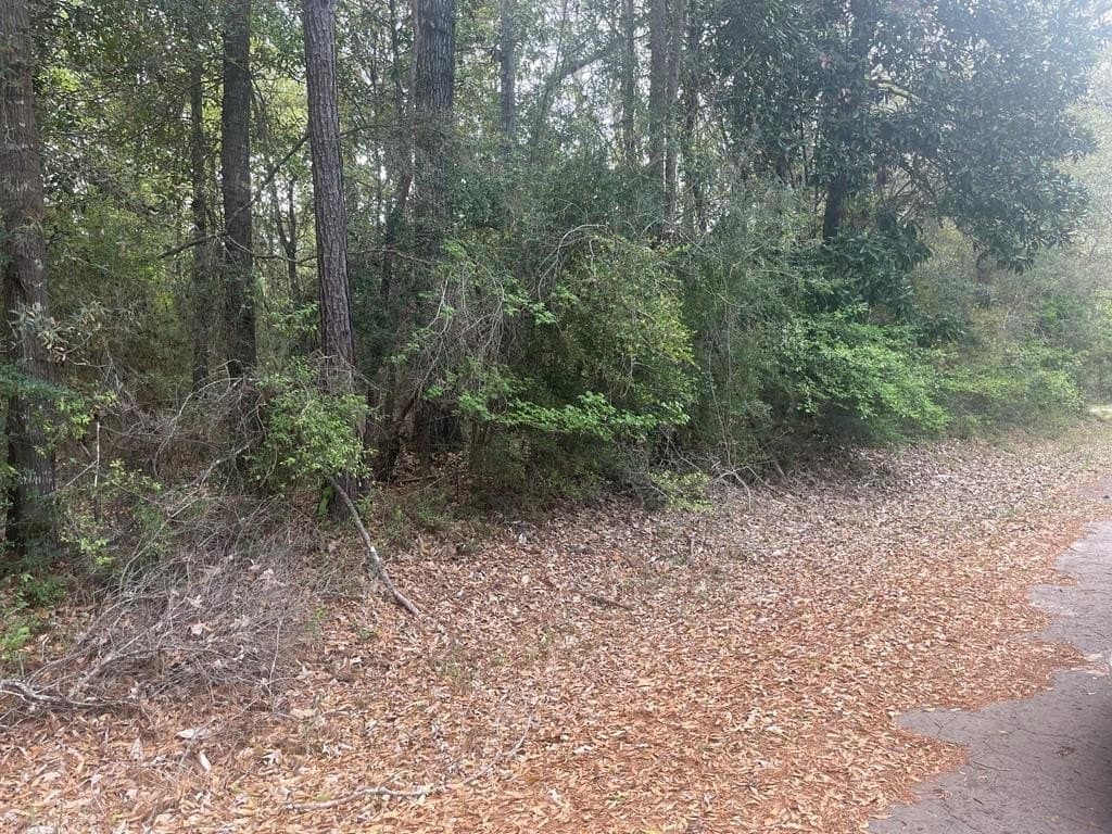 0.29 acres in Texas County
