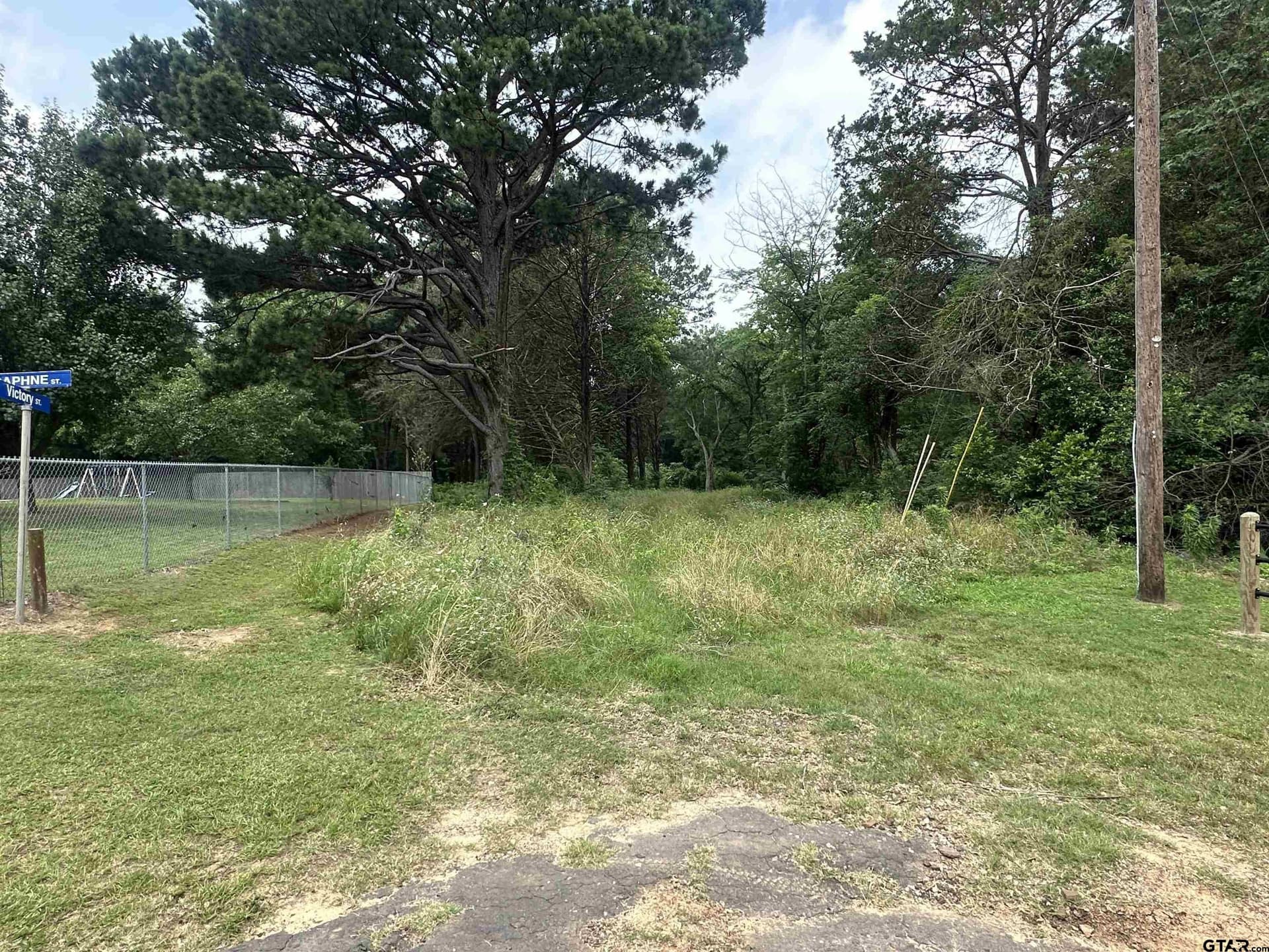 21.7 acres in Camp County gallery image 4