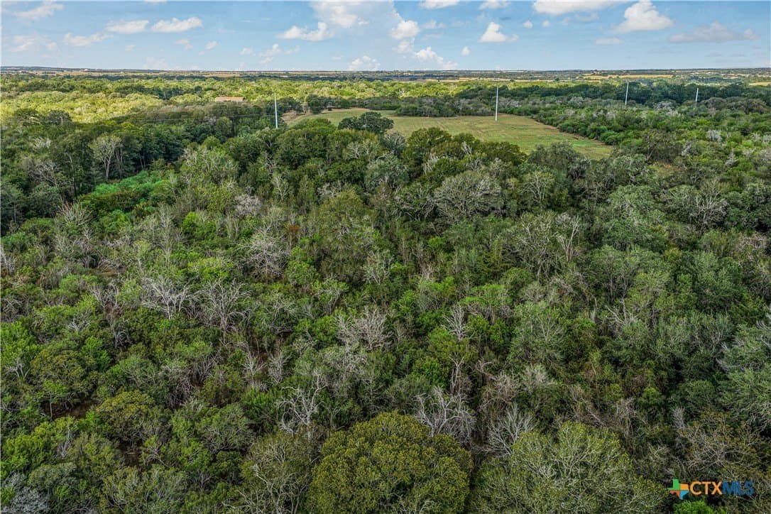 49.3 acres in DeWitt County - photo 31
