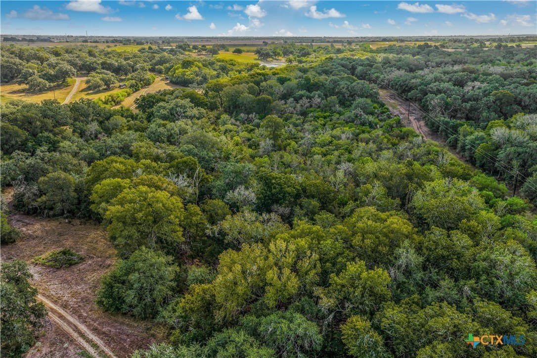 49.3 acres in DeWitt County - photo 20