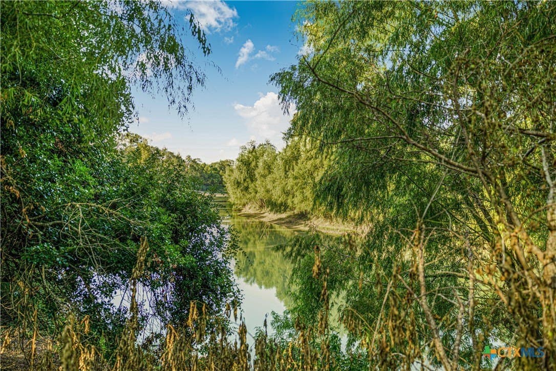 49.3 acres in DeWitt County - photo 10
