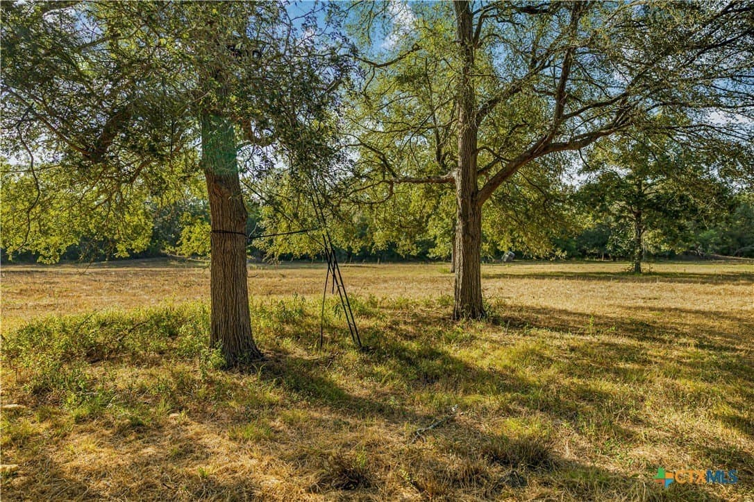 49.3 acres in DeWitt County - photo 21