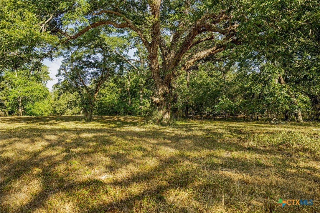 49.3 acres in DeWitt County - photo 8