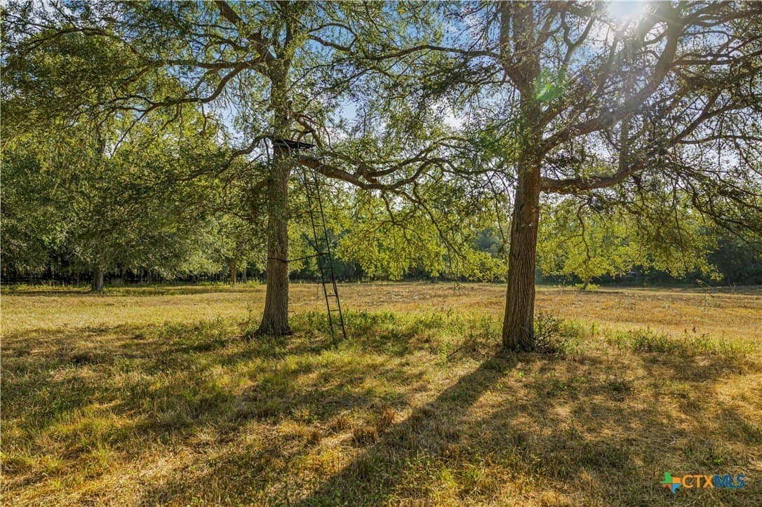 49.3 acres in DeWitt County - photo 23