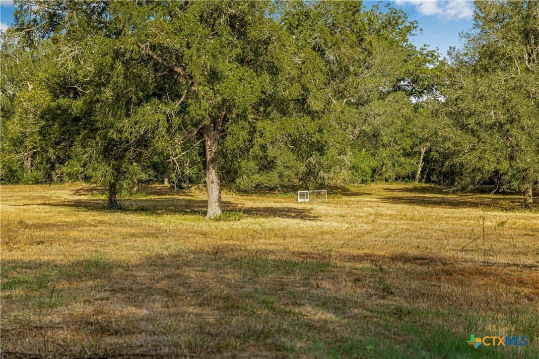 49.3 acres in DeWitt County - photo 11