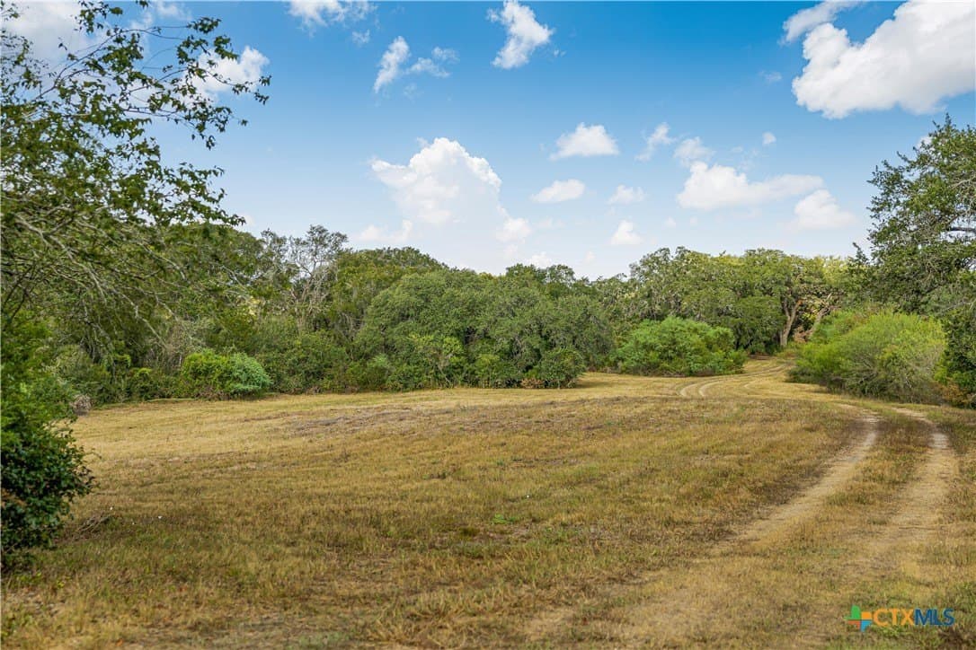 49.3 acres in DeWitt County - photo 13