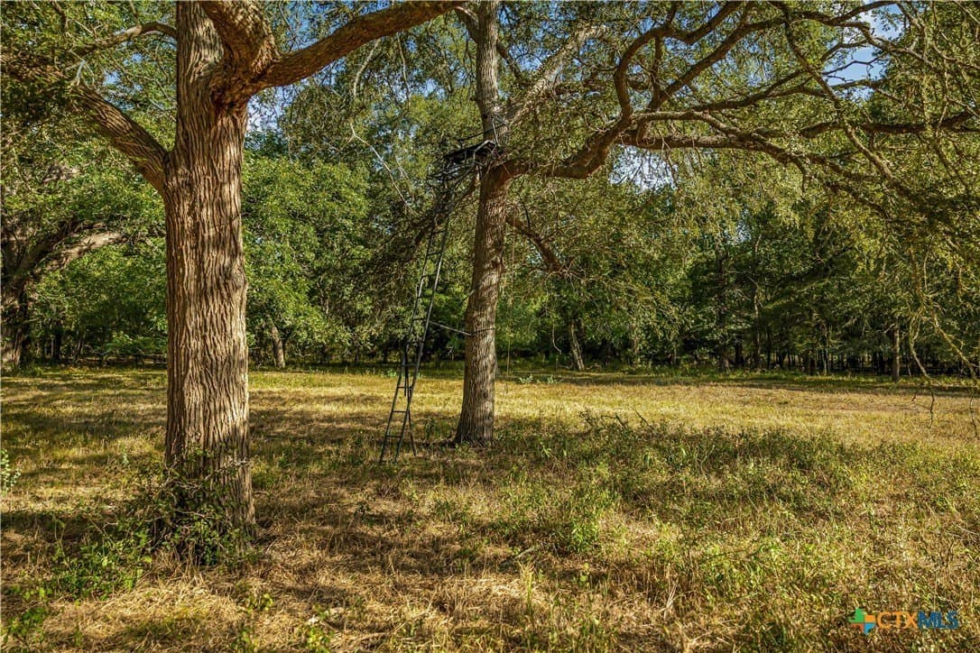 49.3 acres in DeWitt County - photo 18