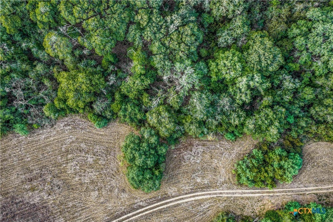 49.3 acres in DeWitt County - photo 30