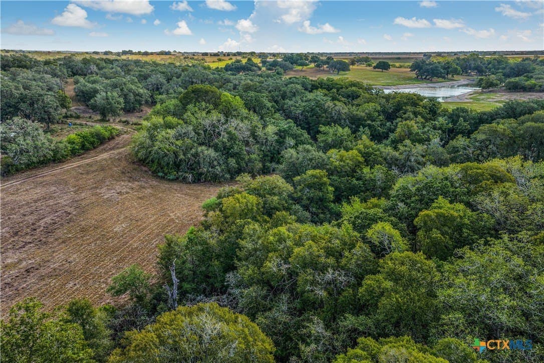 49.3 acres in DeWitt County - photo 4