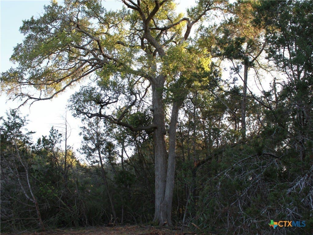 3 acres in Hays County - photo 26