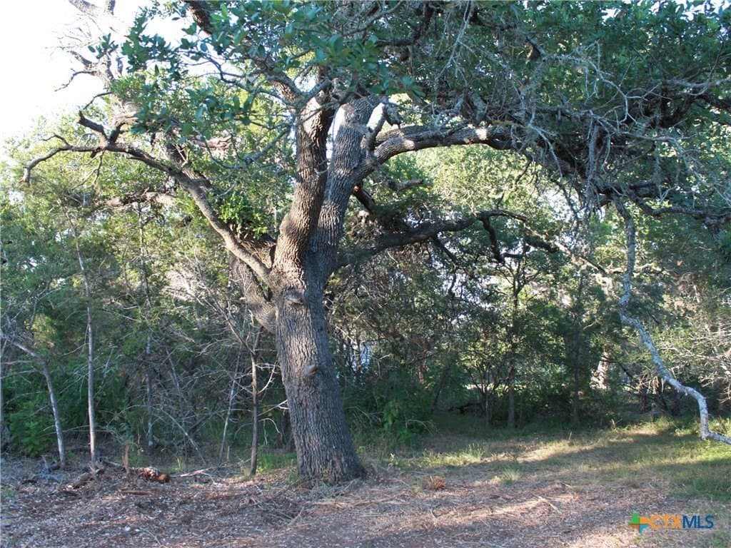 3 acres in Hays County - photo 27