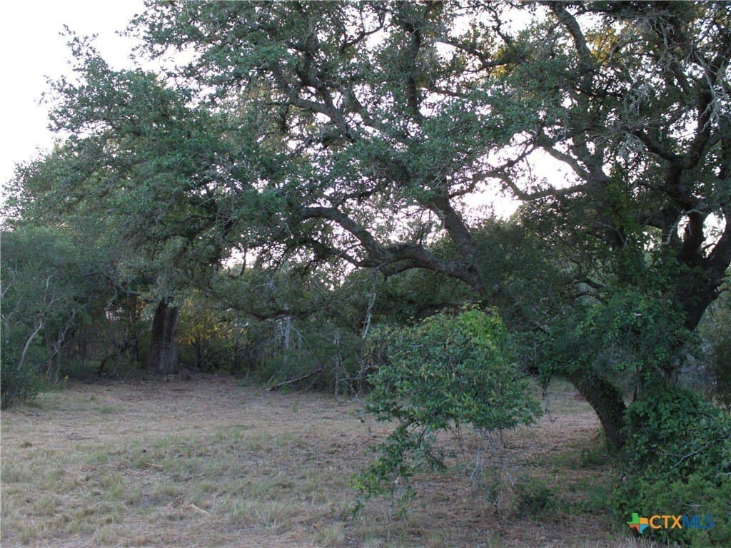 3 acres in Hays County - photo 25