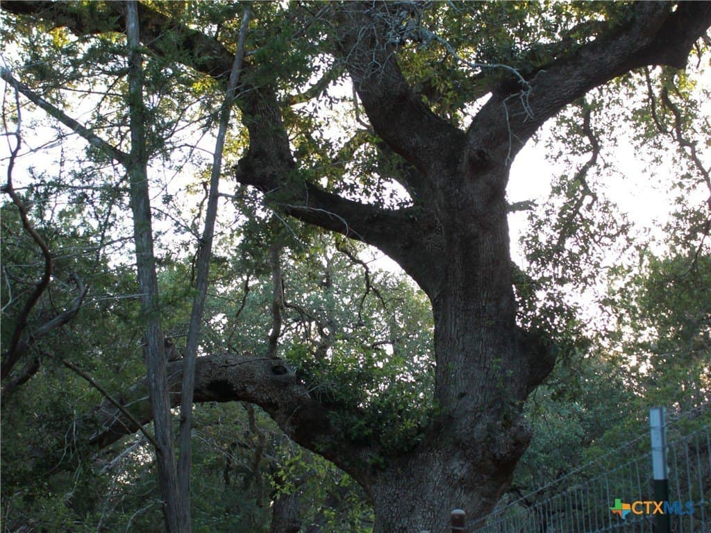 3 acres in Hays County - photo 24