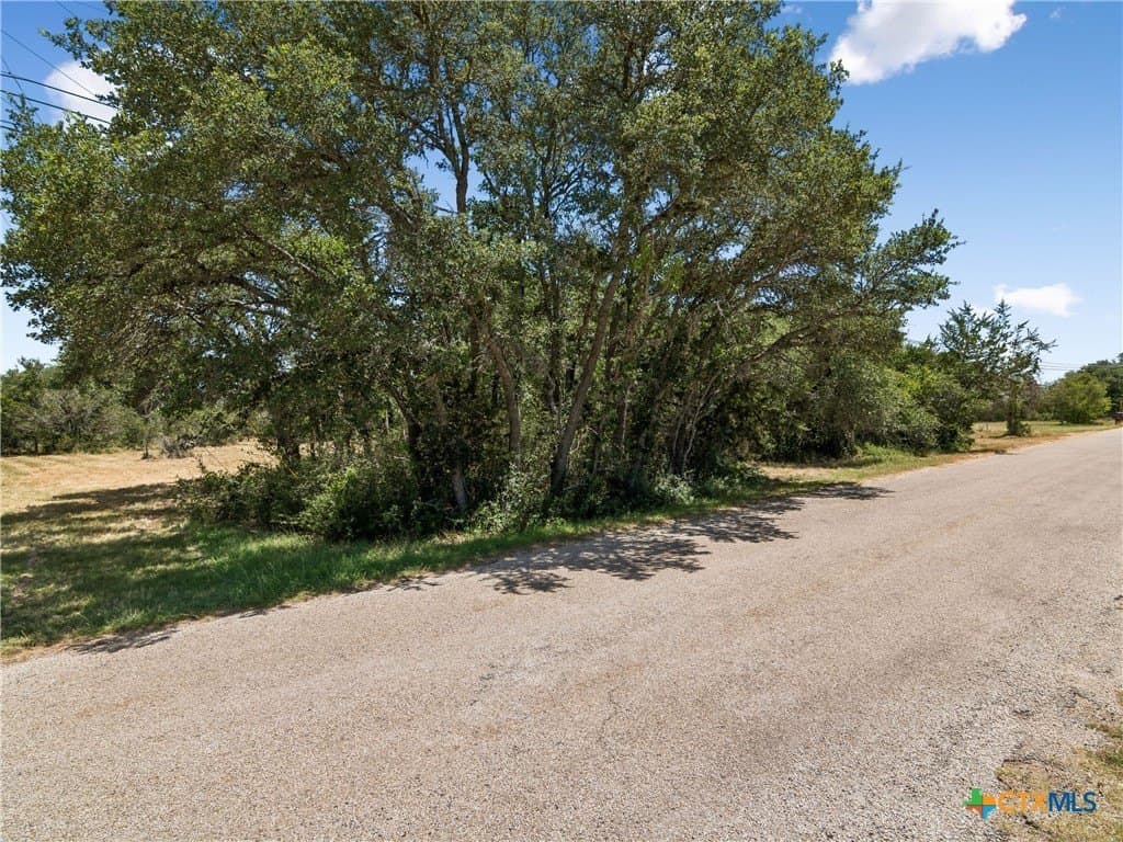 3 acres in Hays County gallery image 3