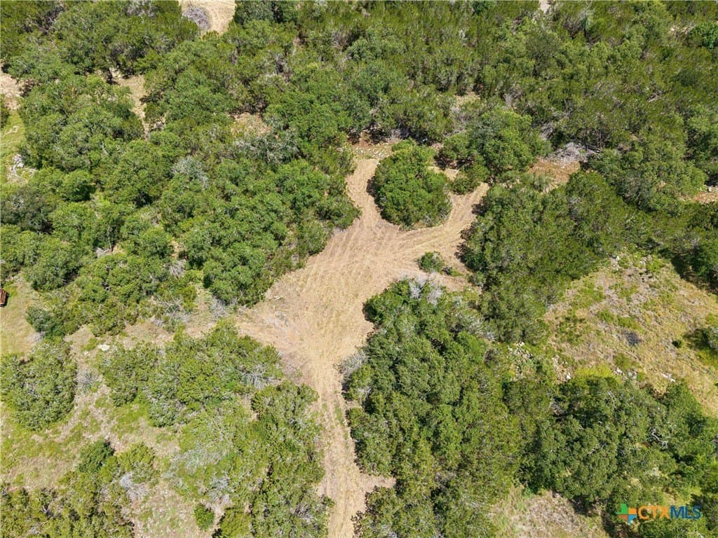 3 acres in Hays County - photo 16