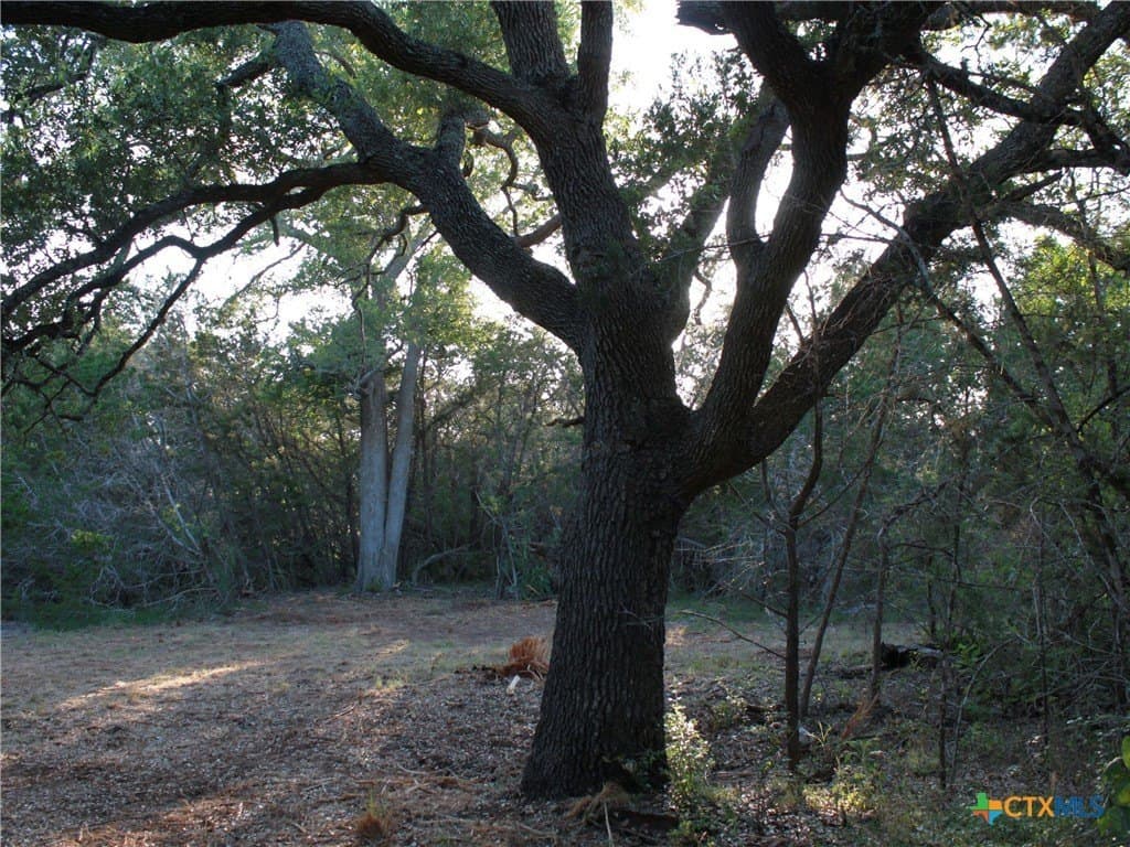 3 acres in Hays County - photo 23