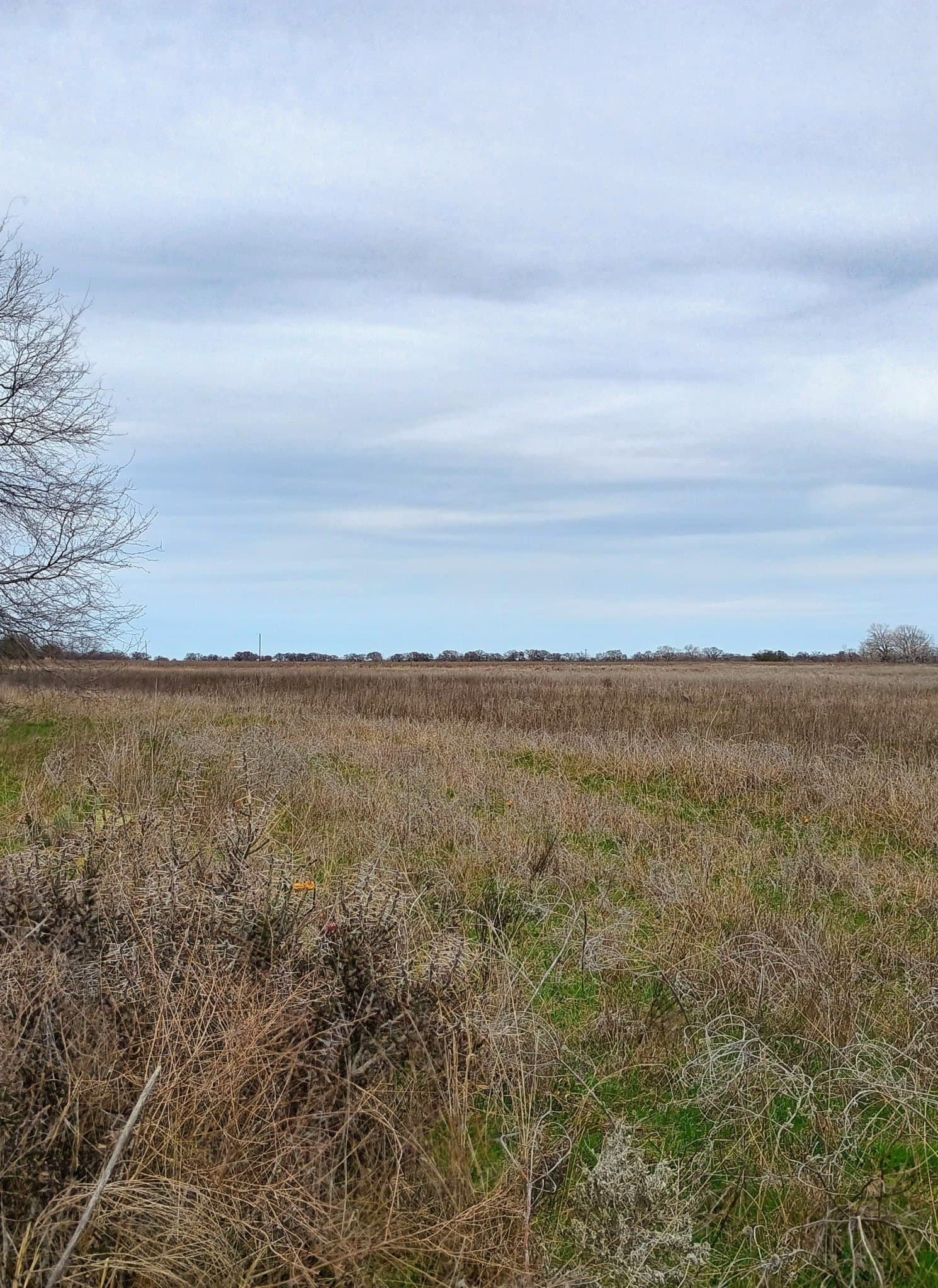 54.4 acres in Comanche County - photo 6
