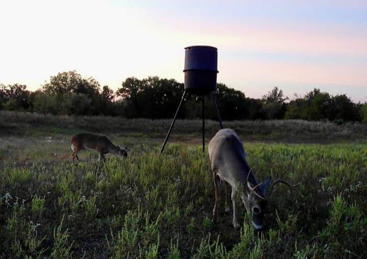 54.4 acres in Comanche County - photo 5