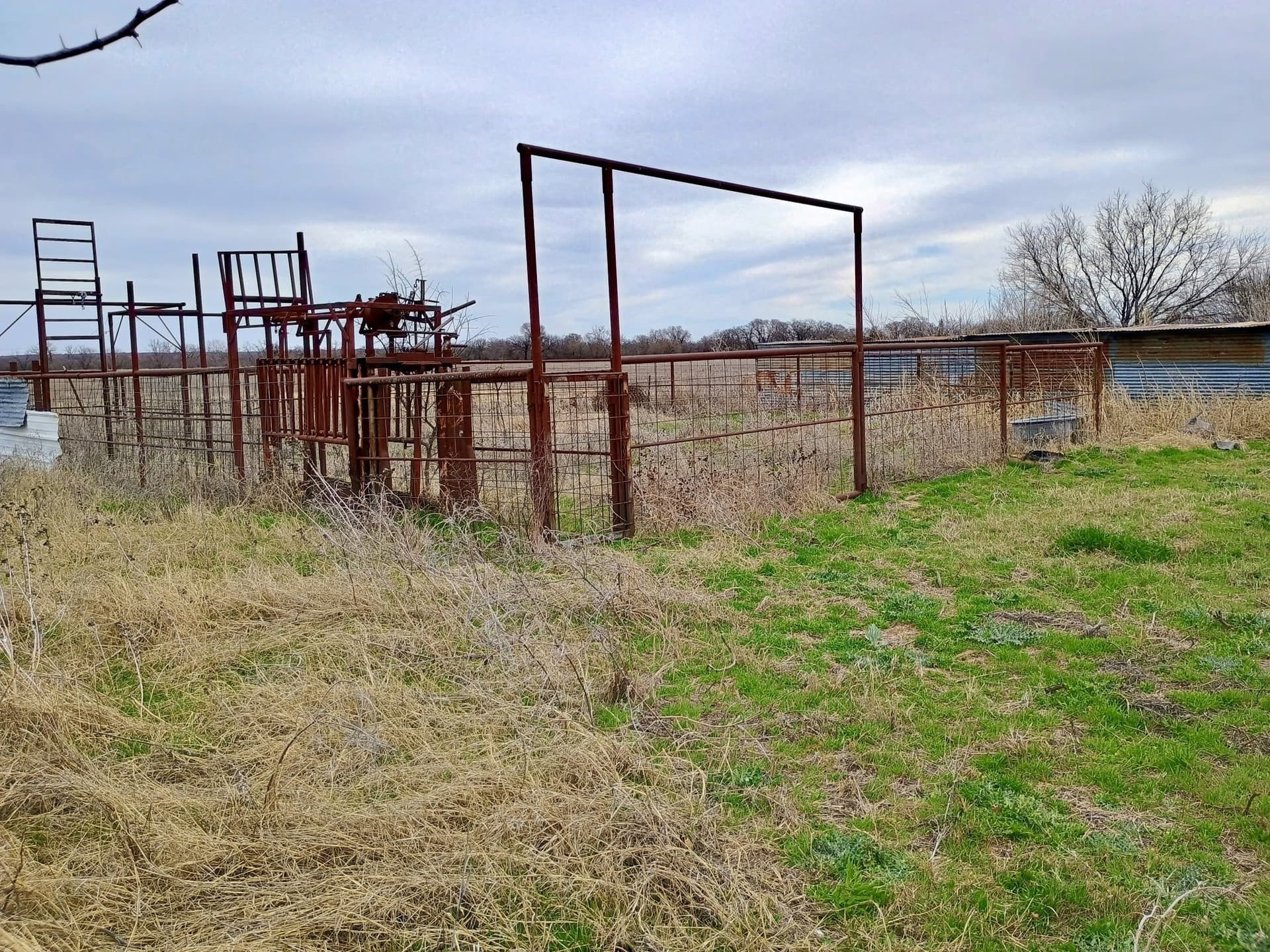 54.4 acres in Comanche County - photo 13