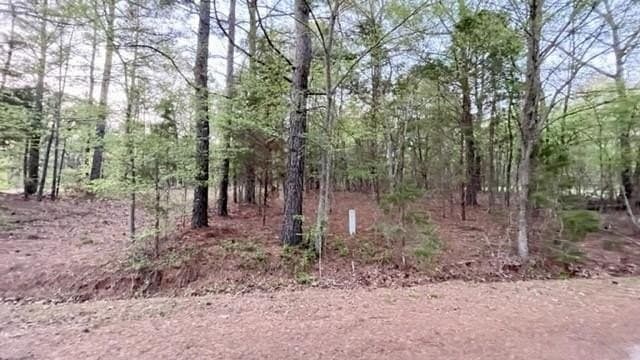 0.11 acres in Franklin (TX) County gallery image 2