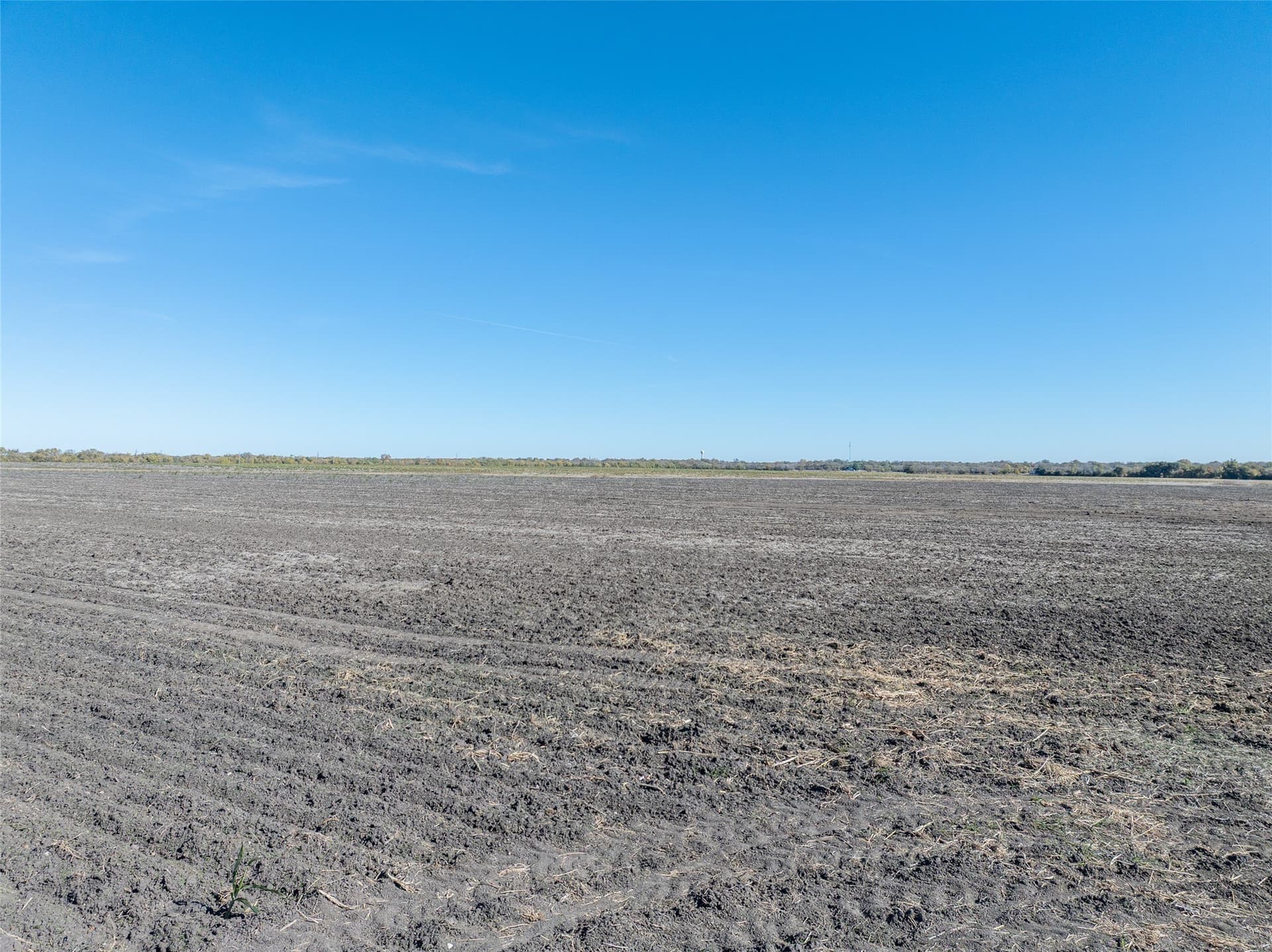 650.18 acres in Lamar County - photo 4