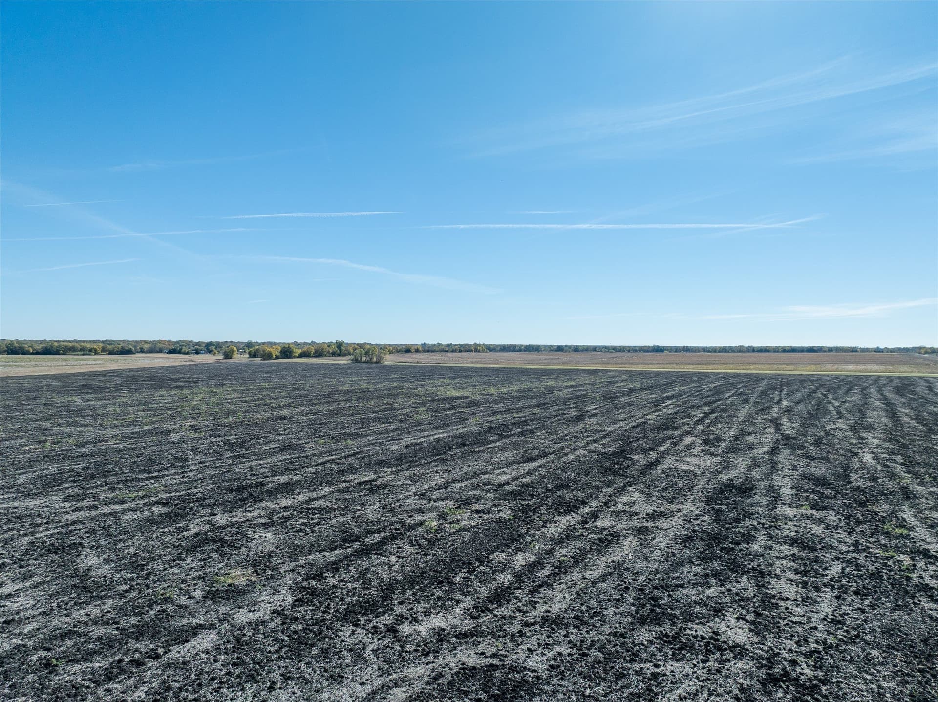 650.18 acres in Lamar County
