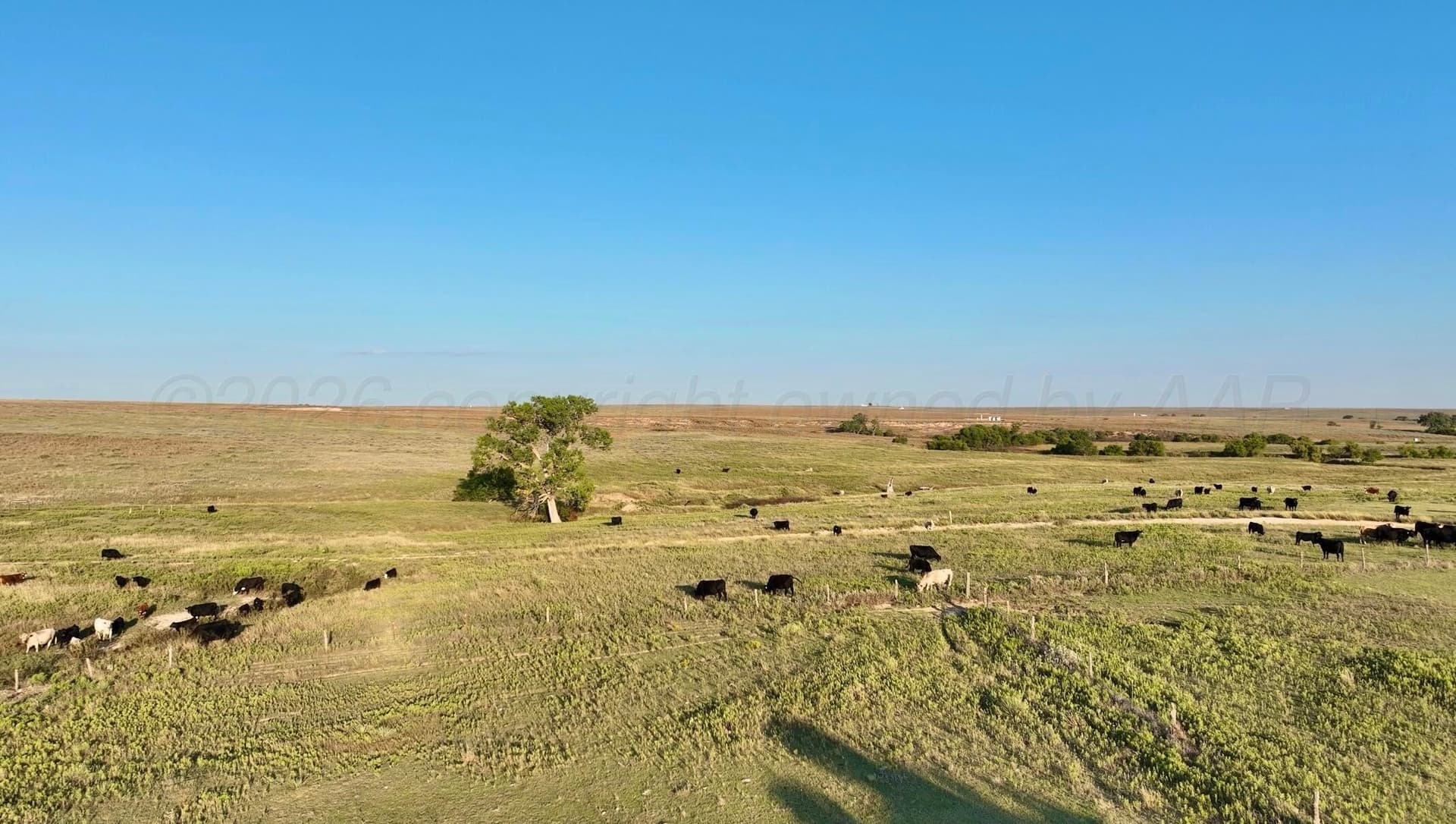7,408.9 acres in Lipscomb County - photo 20