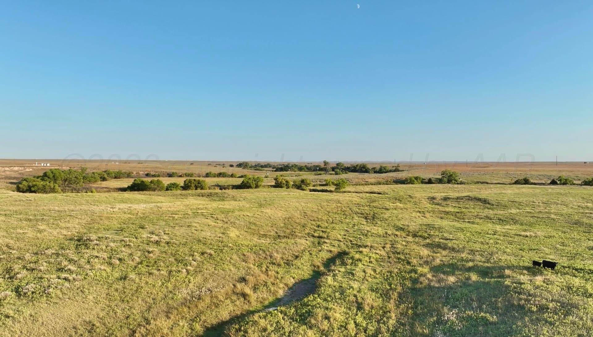 7,408.9 acres in Lipscomb County - photo 12