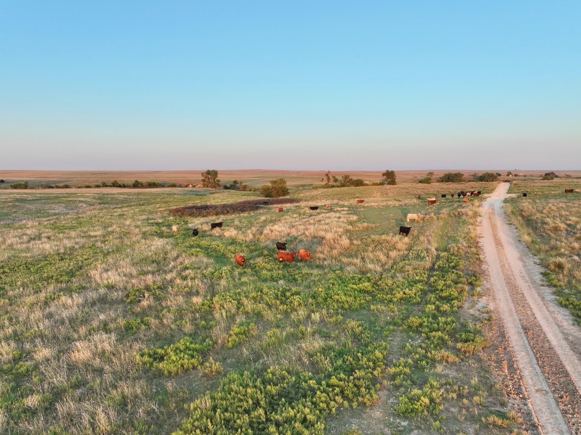 7,408.9 acres in Lipscomb County - photo 19