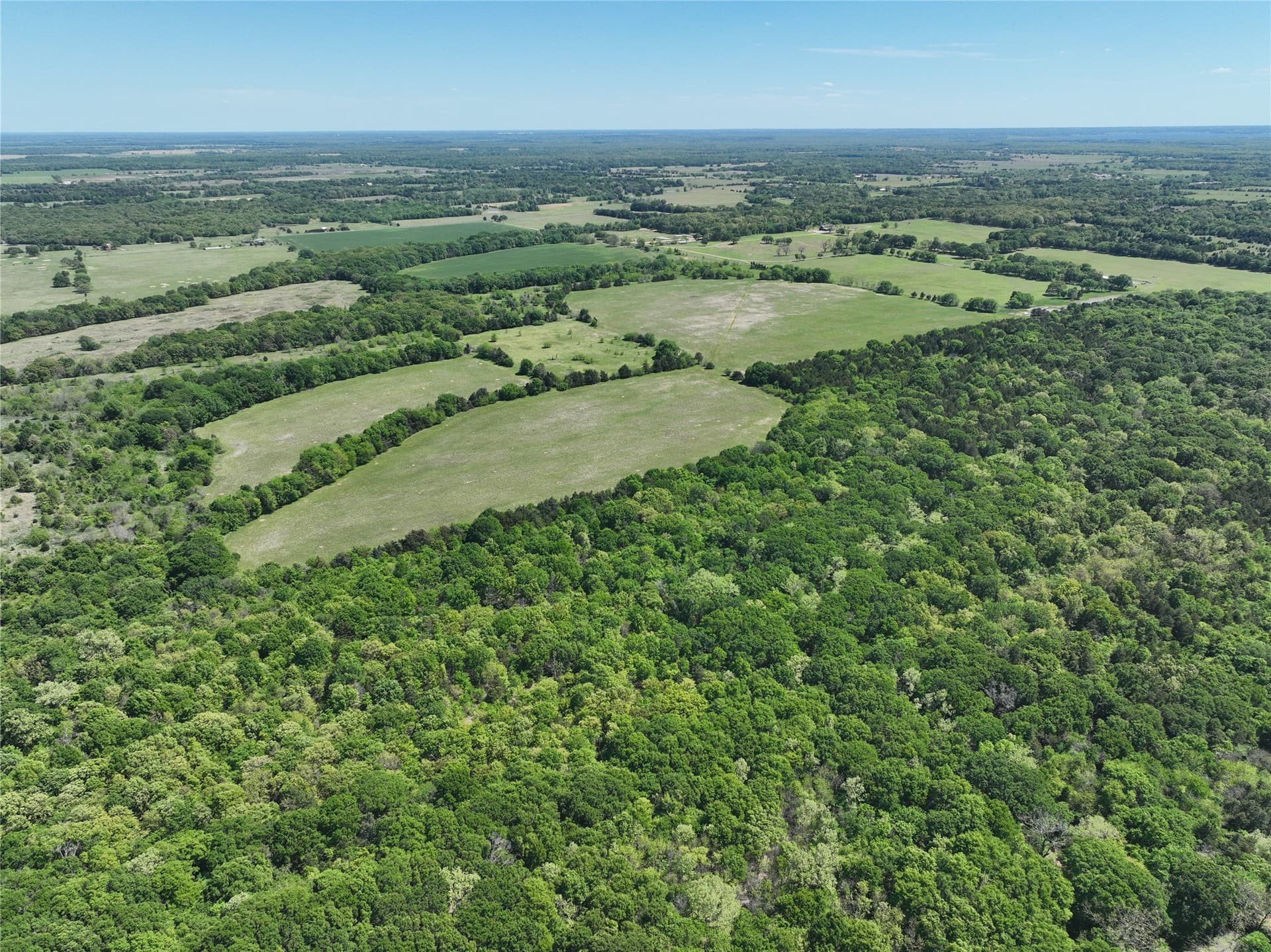 375.6 acres in Fannin County - photo 12